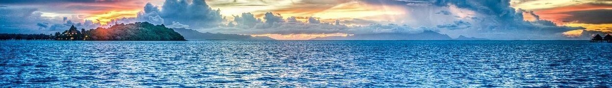 海外との交流