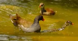 「親との関係が影響しているもの」とは？