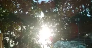 「目に見えない何か！」はあるのか？⑪