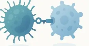 「現状を守るための免疫反応」とは?